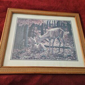 vintage framed whitetail deer print autumn innocence signed by artist